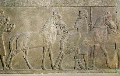 Relief depicting the tributaries of Sargon II, from the Palace of Sargon II at Khorsabad, Iraq